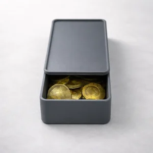 Caja Guarda-Recursos “Cierre Seguro” (10×6×3 cm) - caja del juego