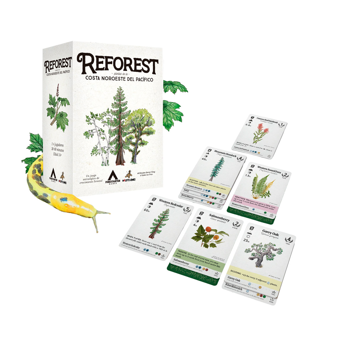 REFOREST (Español) - juego desplegado en la mesa